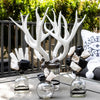 Quadruple Large Antler Bottle