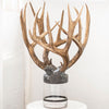 Quadruple Large Antler Bottle